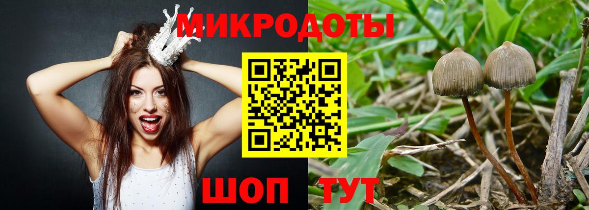 Галлюциногенные грибы Cubensis  Вход с VPN  Омск  Псилоцибиновые грибы Psilocybe 